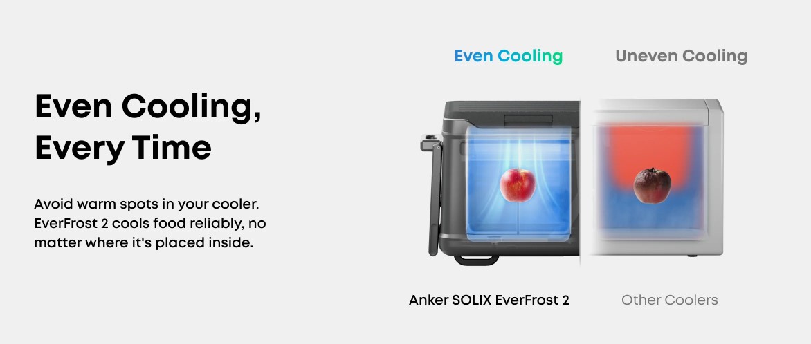 Anker SOLIX EverFrost 2 58L Electric Cooler - Gray
